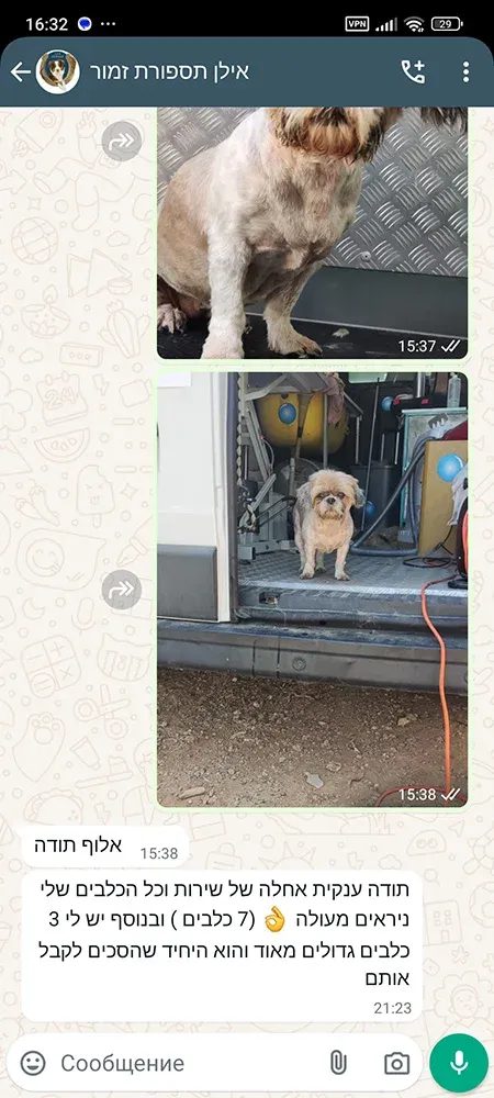 VIDog