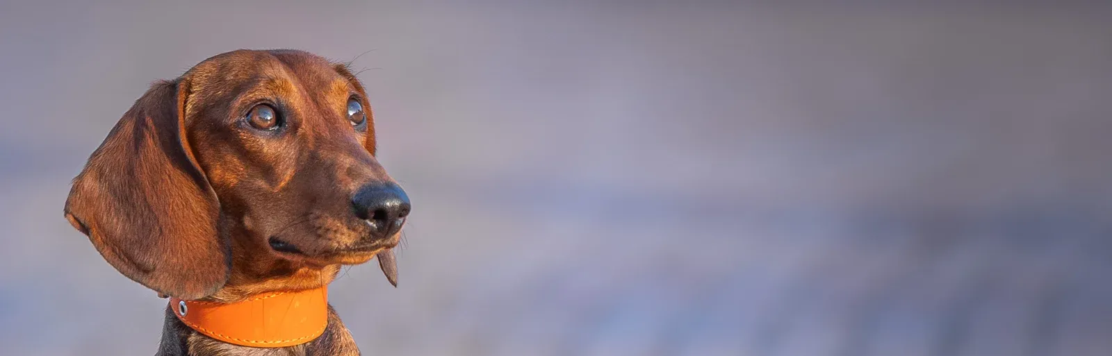 DSC_5651-Edit.jpg